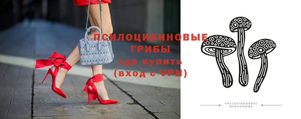 ПСИЛОЦИБИНОВЫЕ ГРИБЫ Алзамай