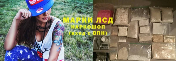 ПСИЛОЦИБИНОВЫЕ ГРИБЫ Алзамай