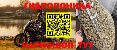 кокс Кунгур