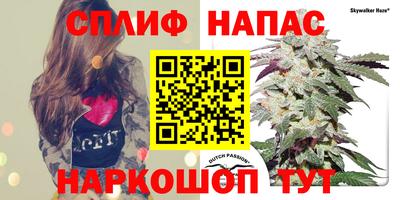 спиды Кулебаки